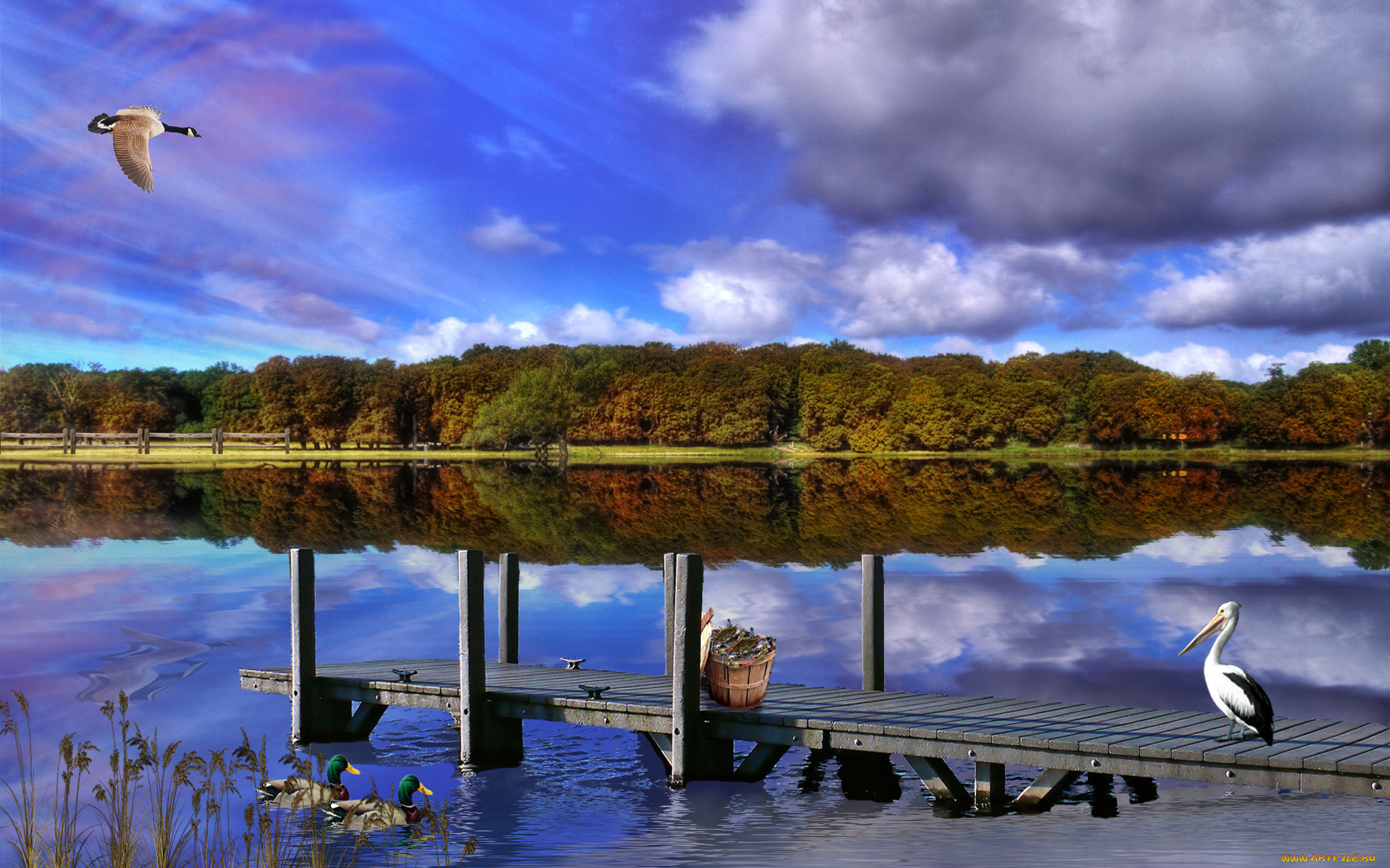 crabbing, the, james, 3, , nature, landscape, , , , , 